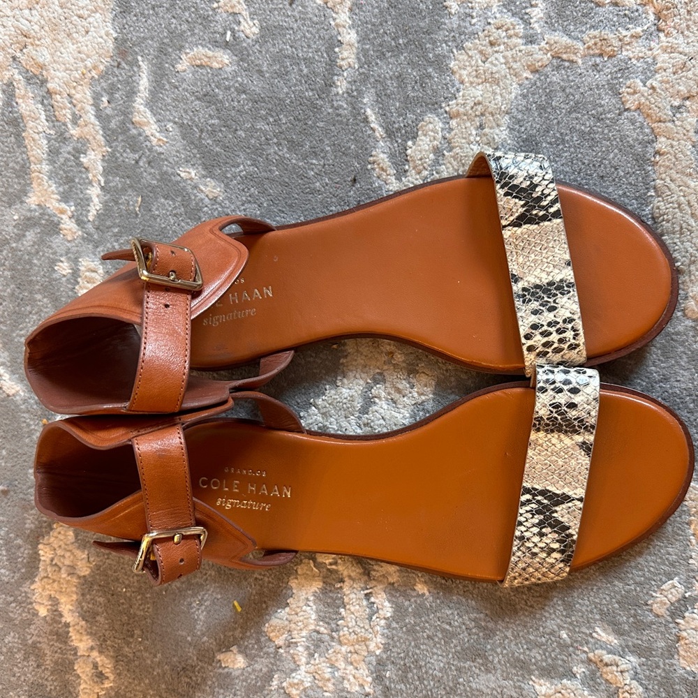 Cole Hann Barra Snake Skin Flat Sandal